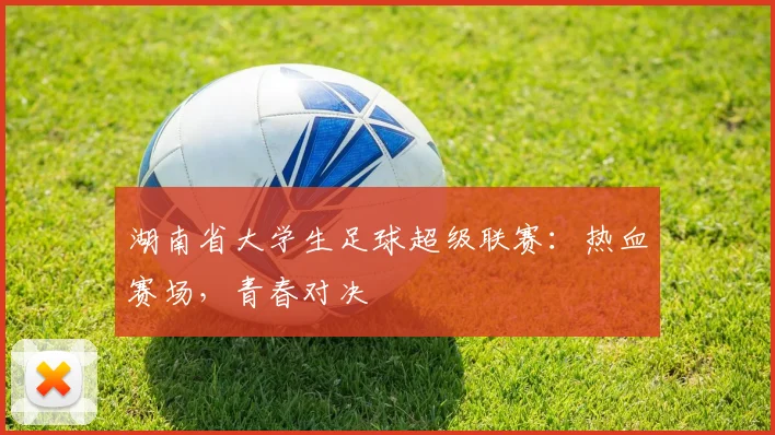 湖南省大学生足球超级联赛:热血赛场,青春对决