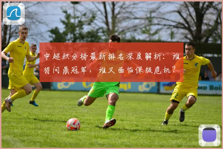 中超积分榜最新排名深度解析：谁将问鼎冠军，谁又面临保级危机？