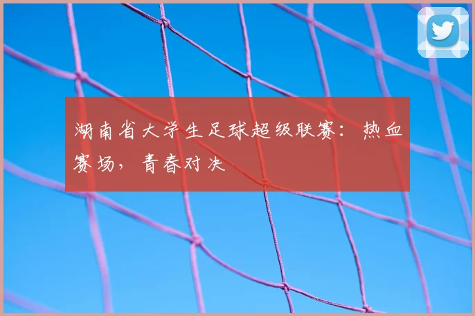 湖南省大学生足球超级联赛:热血赛场,青春对决